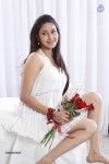 Panchi Bora New Stills - 65 of 72