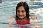 Parvathi Hot Stills - 61 of 89