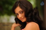 Parvathi Hot Stills - 77 of 89