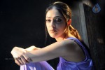 Parvathi Melton Latest Gallery - 70 of 89