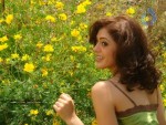 Parvathi Melton New Pics - 89 of 150