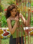 Parvathi Melton New Pics - 99 of 150
