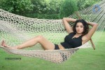 Parveen Begum Hot Stills - 53 of 61