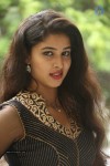 Pavani Latest Gallery - 13 of 64