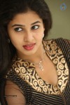 Pavani Latest Gallery - 53 of 64