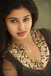 Pavani Latest Gallery - 60 of 64