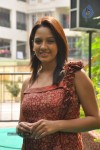 Pavani New Stills - 61 of 70
