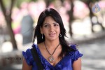 Pavani Reddy New Photos - 30 of 33