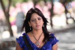 Pavani Reddy New Photos - 38 of 33