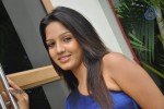 Pavani Reddy Stills - 68 of 95