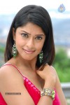 Payal Ghosh Hot Gallery - 38 of 60