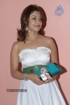 Payal Ghosh Hot Photos - 19 of 33