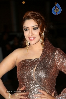 Payal Ghosh Stills - 50 of 53