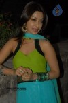 Payal Gosh New Gallery - 2 of 42