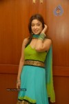 Payal Gosh New Gallery - 3 of 42