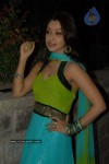 Payal Gosh New Gallery - 4 of 42