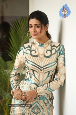 Payal Rajput Photos - 13 of 21