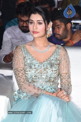 Payal Rajput Photos - 6 of 14
