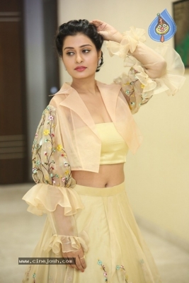 Payal Rajput Photos - 2 of 42