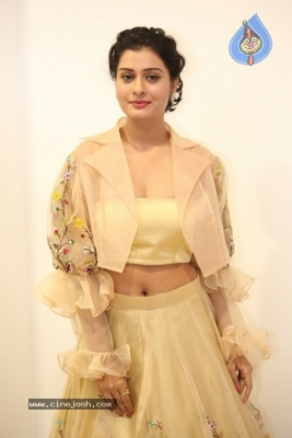 Payal Rajput Photos - 3 of 42