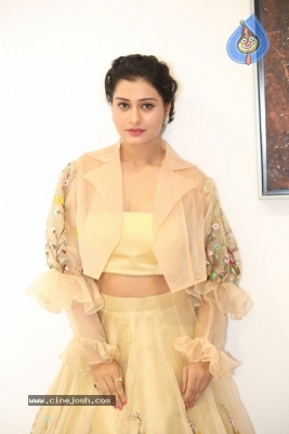 Payal Rajput Photos - 9 of 42