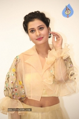 Payal Rajput Photos - 25 of 42