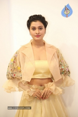 Payal Rajput Photos - 31 of 42