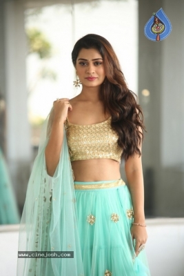 Payal Rajput Photos - 6 of 64