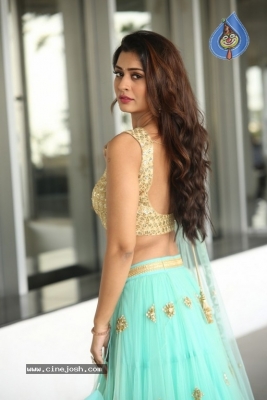 Payal Rajput Photos - 8 of 64