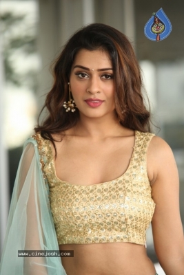 Payal Rajput Photos - 10 of 64