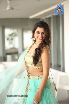 Payal Rajput Photos - 29 of 64