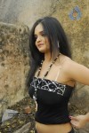Payal Setti Photo Stills - 2 of 20
