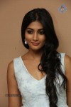 Pooja Hegde New Photos - 109 of 109