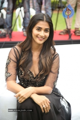 Pooja Hegde Photos - 2 of 21