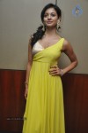 Pooja Hot Stills - 48 of 51