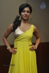 Pooja Hot Stills - 59 of 51