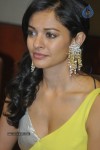 Pooja Hot Stills - 61 of 51