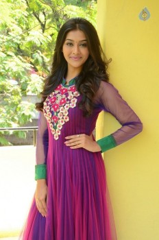 Pooja Jhaveri New Pics - 5 of 41