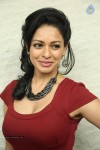 Pooja Kumar New Gallery - 9 of 81