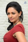 Pooja Kumar New Gallery - 14 of 81