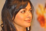 Pooja New Stills - 4 of 53