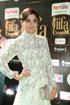 Poonam Kaur at IIFA 2017 - 10 of 35