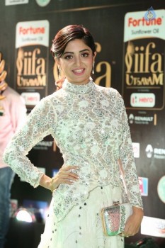 Poonam Kaur at IIFA 2017 - 17 of 35