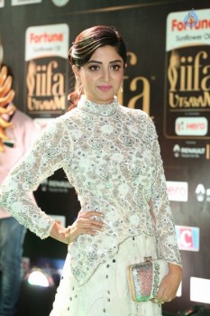 Poonam Kaur at IIFA 2017 - 18 of 35