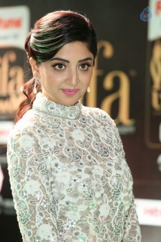 Poonam Kaur at IIFA 2017 - 20 of 35