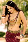 Poonam Kaur Hot Pics - 44 of 33