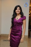 Poonam Kaur New Photo Stills - 44 of 59