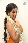 Poonam Pandey Latest Gallery - 56 of 195