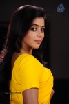 Poorna Hot Gallery - 6 of 71