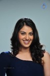 Pragalbha Hot Stills - 15 of 40